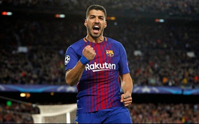 绿茵体育-他们证明了足球是圆的