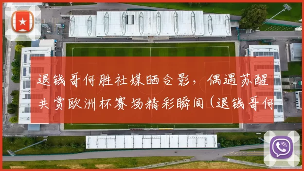 退钱哥何胜社媒晒合影，偶遇苏醒共赏欧洲杯赛场精彩瞬间(退钱哥何胜个人简介)