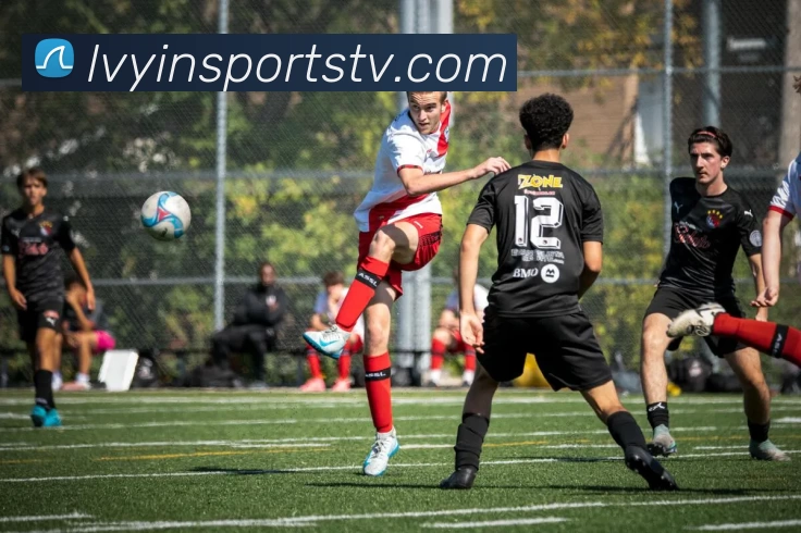 绿茵体育直播平台生态图